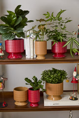 Jacques Footed Ceramic Decorative Vessels By Accent Decor