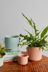 Jamye Ceramic Pots By Accent Decor