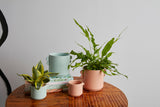 Jamye Ceramic Pots By Accent Decor