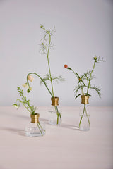 Jimmy Glass Bud Vases By Accent Decor