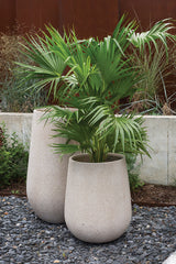 Juni Fiber Composite Vase By Accent Decor
