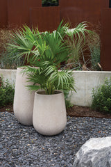 Juni Fiber Composite Vase By Accent Decor