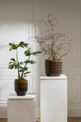 Kasra Pots By Accent Decor