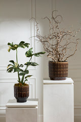 Kasra Pots By Accent Decor