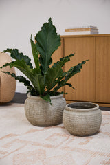 Kemble Fiber Composite Pot By Accent Decor