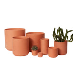 Kendall Terracotta Ceramic Pots By Accent Decor