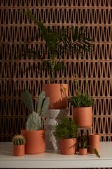 Kendall Terracotta Ceramic Pots By Accent Decor