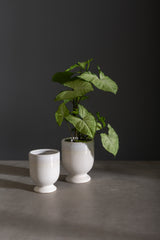 Laney Ceramic Vases By Accent Decor