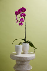 Laney Ceramic Vases By Accent Decor
