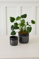 Lennon Ceramic Pots By Accent Decor