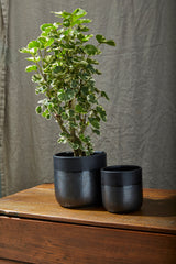 Lennon Ceramic Pots By Accent Decor