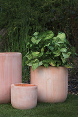 Lerato Ceramic Pots By Accent Decor