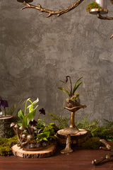 Lichen Etched Metal Figurine By Accent Decor