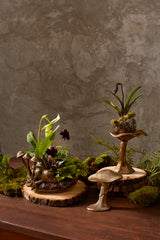 Lichen Etched Metal Figurine By Accent Decor
