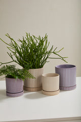 Los Feliz Ribbed Ceramic Planters With Saucers By Accent Decor - 5" x 5.5" - Image 4