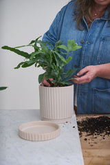 Los Feliz Ribbed Ceramic Planters With Saucers By Accent Decor - 5" x 5.5" - Image 5