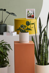 Los Feliz Ribbed Ceramic Planters With Saucers By Accent Decor - 5" x 5.5" - Image 6