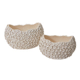 Luanda Sculptural Glossy Bowls By Accent Decor