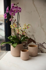Luciana Textured Ceramic Pots By Accent Decor