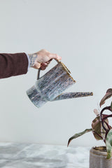 Lucien Watering Can By Accent Decor
