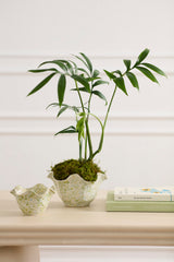 Macey Bowls By Accent Decor