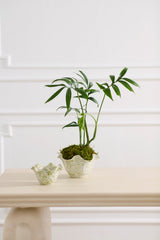 Macey Bowls By Accent Decor