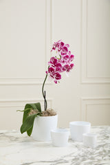 Malibu Ceramic Pot By Accent Decor