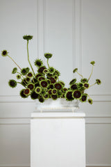 Manor Trough Vessel By Accent Decor