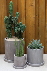 Marta Concrete Pot By Accent Decor