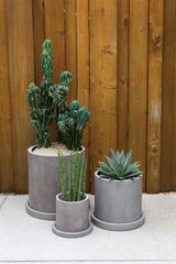 Marta Concrete Pot By Accent Decor