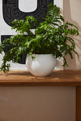 Mayu Reactive Glaze Textured Pot By Accent Decor