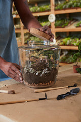 Message Glass Terrarium By Accent Decor