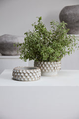 Mirabai Textured Glossy Bowl By Accent Decor