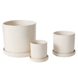 Morse with Saucer Textured Glossy Pots By Accent Decor