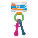 Nylabone Puppy Chew Teething Pacifier