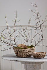 Nalani Bowls By Accent Decor