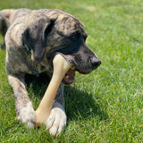 Nylabone Power Chew Beef Bone lifestyle
