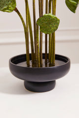 Nightingale Matte Ceramic Compotes By Accent Decor