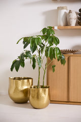 Novella Hammered Metal Pot By Accent Decor