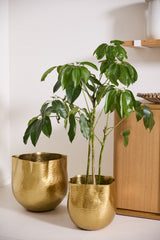 Novella Hammered Metal Pot By Accent Decor