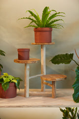 Obispo Wood Display Stand By Accent Decor