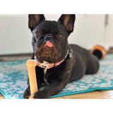 Nylabone Power Chew Chicken Bone lifestyle