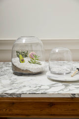 Oliver Glass Terrariums By Accent Decor