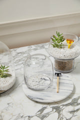Oliver Glass Terrariums By Accent Decor