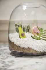 Oliver Glass Terrariums By Accent Decor