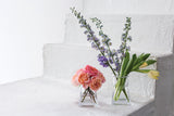 Oslo Glass Vases By Accent Decor