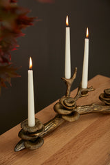 Oyster Mushroom Metal Candleholder By Accent Decor