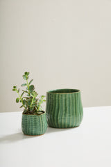 Palmero Ceramic Pots By Accent Decor
