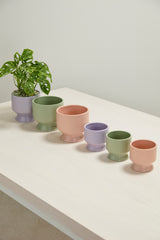 Pasadena Matte Footed Pots By Accent Decor
