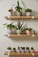 Pasadena Matte Footed Pots By Accent Decor